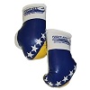 FIGHT-FIT - Mini Gants de Boxe / Bosnie