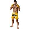 FIGHTERS - Shorts de Muay Thai / Jaune