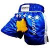 FIGHTERS - Shorts de Muay Thai / Kosovo-Kosova / Yll