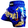 FIGHTERS - Muay Thai Shorts / Blau-Gold / XL