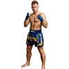 FIGHTERS - Muay Thai Shorts / Blau-Gold / XL